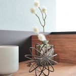 Zimmerpflanze in Vase